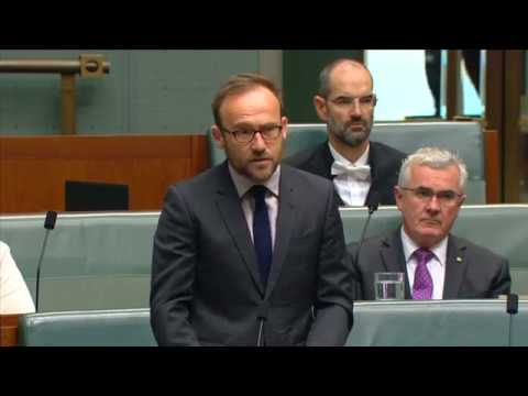 Adam Bandt calls for protection from a potential 'trigger-happy' Trump