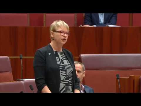 Janet Rice on safeguards during the marriage equality postal vote