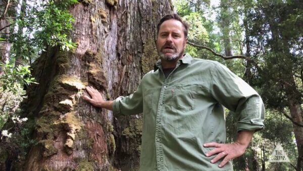 Protect takayna/Tarkine; we don’t need to log these forests!