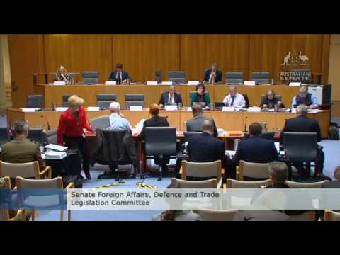 Scott Ludlam  - Iraq and Casualties -  Foreign Affairs and Defence Committee