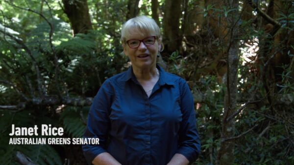 Australian Greens: Scrap our failed logging laws