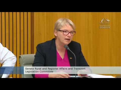 Senator Rice on the National Cycling Strategy