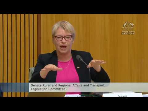 Senator Rice on the Western Distributor/West Gate Tunnel