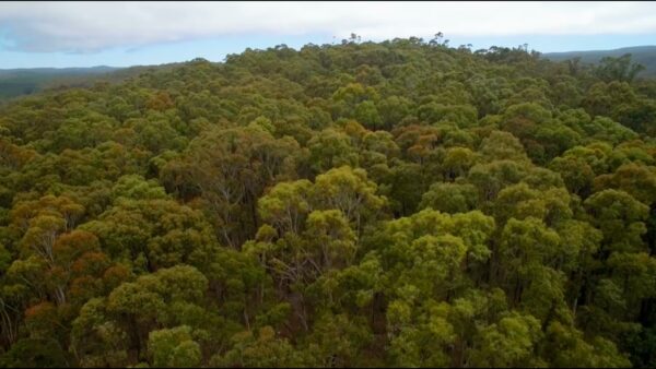 The Greens (WA) | Precious Places