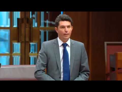We need a National Integrity Commission - Scott Ludlam