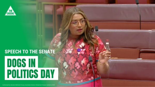 Mehreen Faruqi: Yesterday in the Senate, I called for a moratorium on the breeding of …