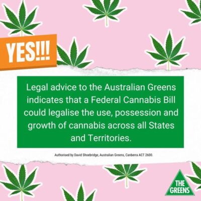 Imagine if cannabis was finally legal across Australia...