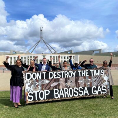 Queensland Greens: These cultural giants from the Tiwi Islands are taking it to the fossi…