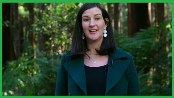 Samantha Ratnam – Leader of the Victorian Greens: Did you know that only 2% of Victoria’s logged forests ends up being u…