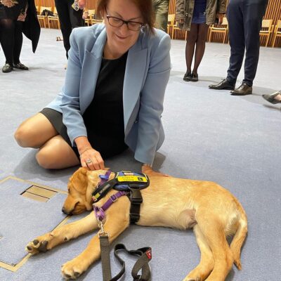 Susan Templeman MP: It’s pretty exhausting visiting Parliament! @visionaustralia #seeingey…