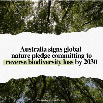 Another important step to show the world that the environment is back ...