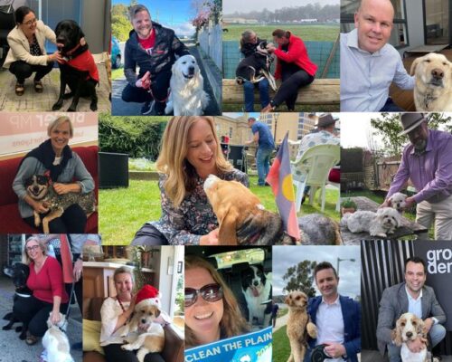 It's dogs in politics day!  Here's to all our letter boxing, doorknock...