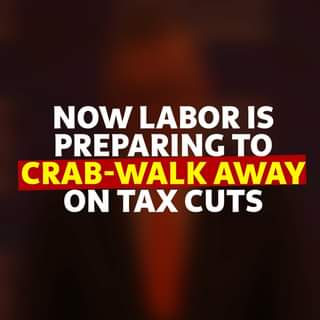 Anthony Albanese and Labor backed tax cuts for hard-working Australian...