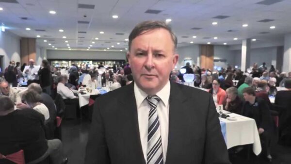 Anthony Albanese - Light on the Hill 2015 - Preview