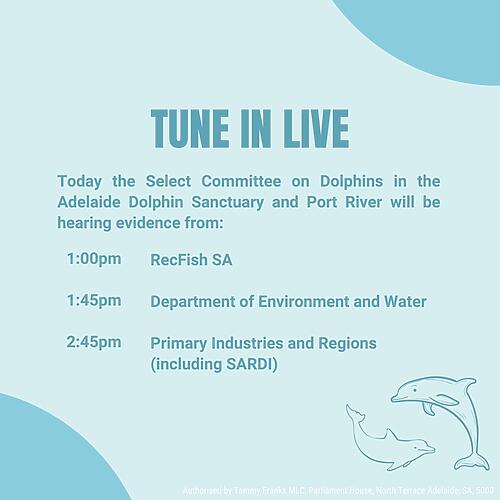Tammy Franks MLC: Today at #saparli hearings continue for the Select Committee on Dolphi…