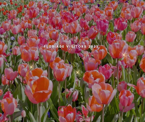 Andrew Barr MLA: Floriade, Australia’s Biggest Celebration of Spring, attracted more th…