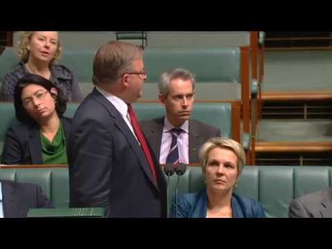 Anthony Albanese - Speaking against the motion