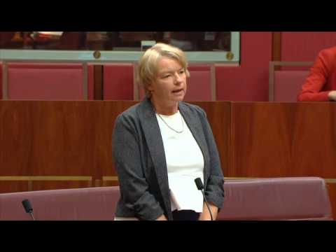 Australian Greens: Grandmothers highlight community support for kids out of detention