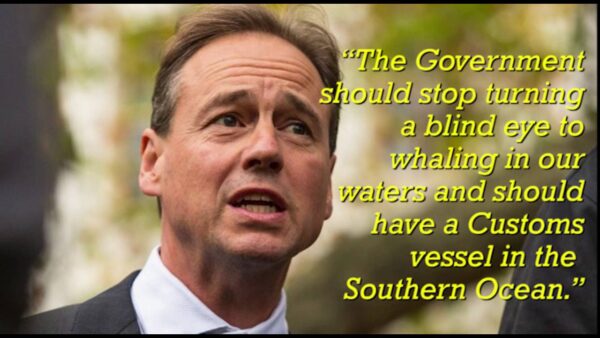 Greg Hunt's broken promises on whaling