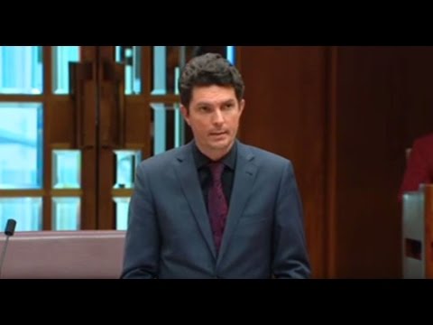 Australian Greens: Question Time – Australia’s involvement in Iraq and Syria