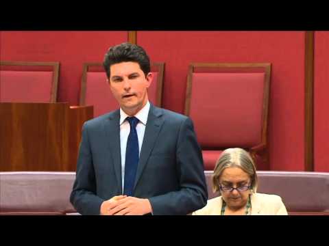 Australian Greens: Scott Ludlam: Parliament should decide when we go to war