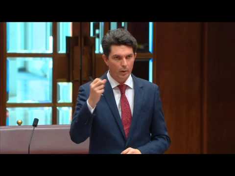 Senator Ludlam on the Turnbull Tax failure