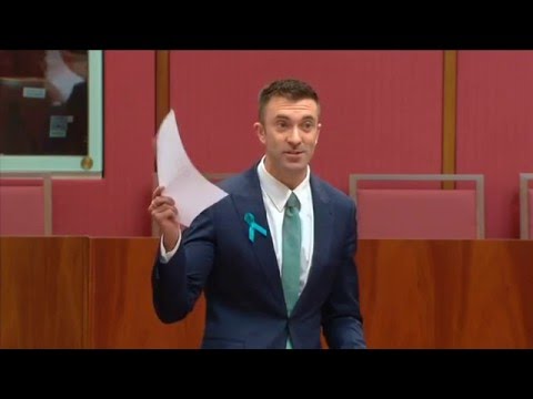 Senator Robert Simms speaks about the government investigating Safe Schools