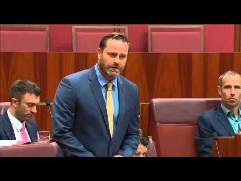 Senator Whish-Wilson asks what the Government is doing to stop Japanese Whaling