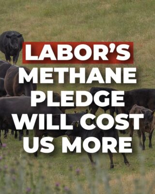 Labor’s support for the 2030 methane emissions pledge will hurt farmer...