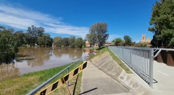 Michael McCormack: 1/10  FLOOD UPDATE  The @BOM_au is reporting the #Murrumbidgee River i…