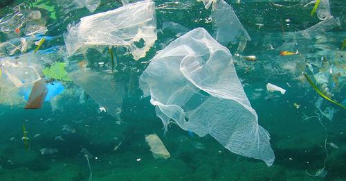 Diving against debris ahead of plastic ban