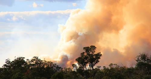 Funding to fast track bushfire technology