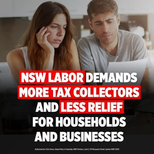 While the NSW Government is helping households and businesses manage t...