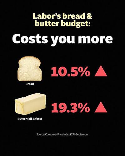 Labor's budget fails Australian families at a time when they really ne...