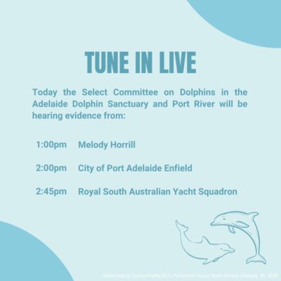 Tammy Franks MLC: Today we continue hearing evidence for the inquiry into the dolphins i…