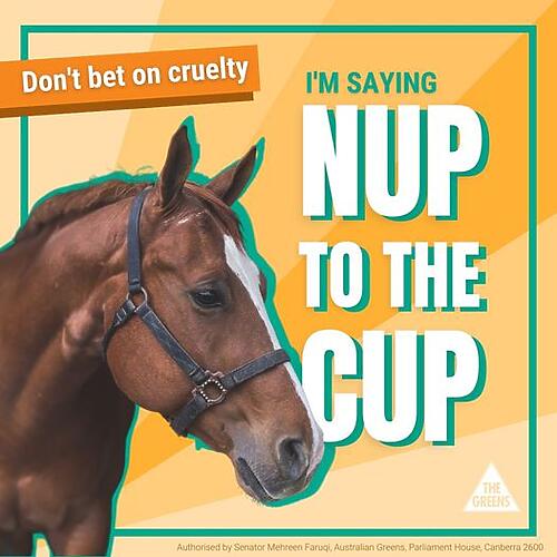 ACT Greens:  Seven horses have been killed at the last nine Melbourne Cup rac…