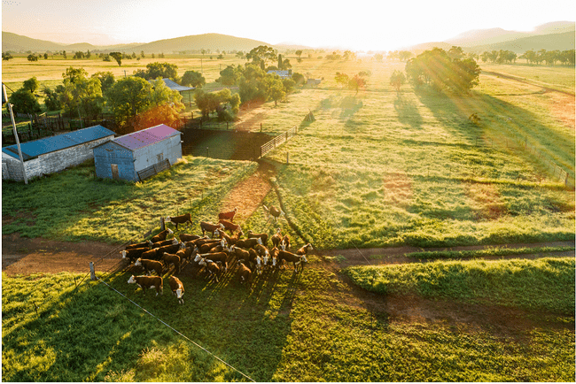 Agriculture on a roll, but where to next?