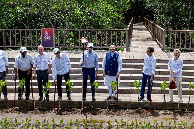 Anthony Albanese: This morning I planted mangroves in Bali, alongside other world l…