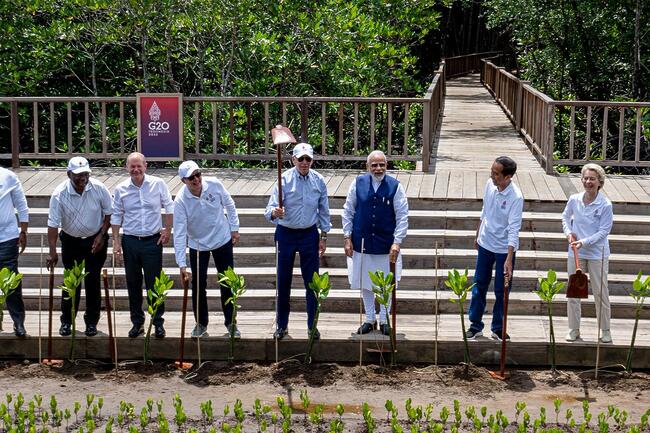 This morning I planted mangroves in Bali, alongside other world l...