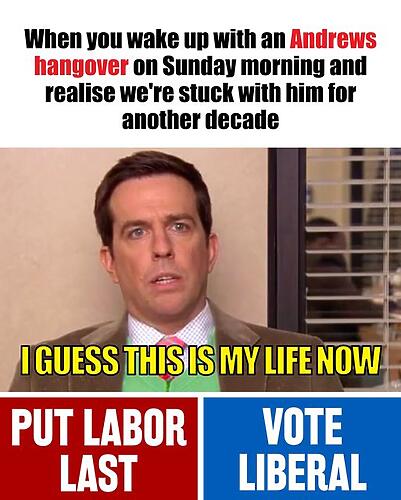 Don’t wake up on Sunday with a Daniel Andrews hangover! Vote Libe...