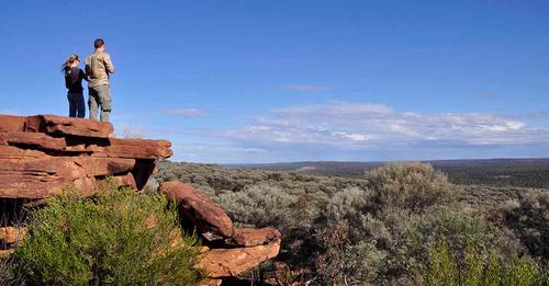 Find your path in NSW national parks