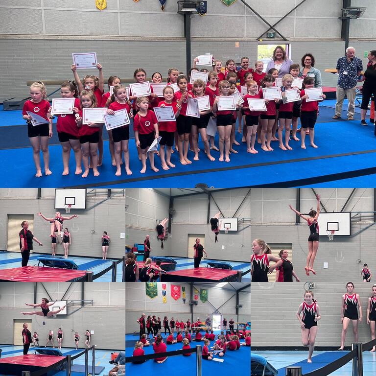 Nat Cook MP: Another great year for Morphett Vale Youth Club Gymnastics  #Hur…