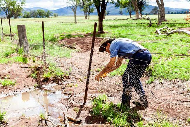 Support for flood-affected farmers