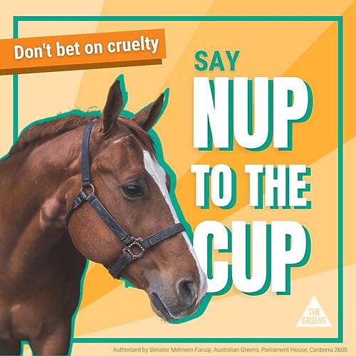 Seven horses have been killed at the last nine Melbourne Cup races. Th...