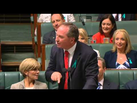 Barnaby Joyce redfaced over failure to protect NSW farmland