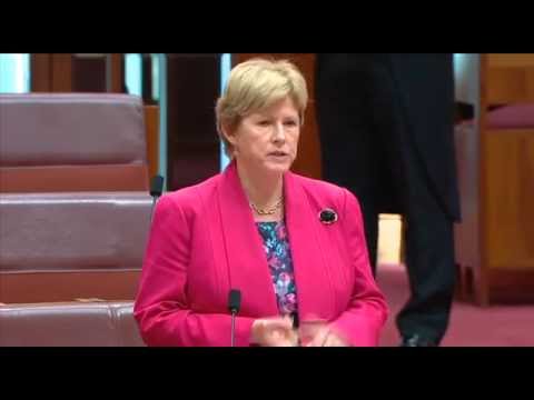Christine Milne: PM Abbott must be honest about troop deployments