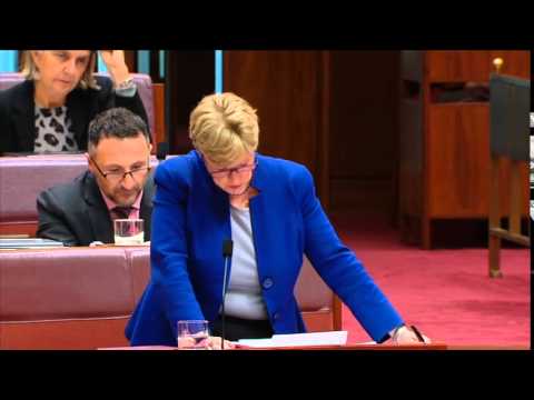 Christine Milne: Why did Abbott lie to Australians about the RET?