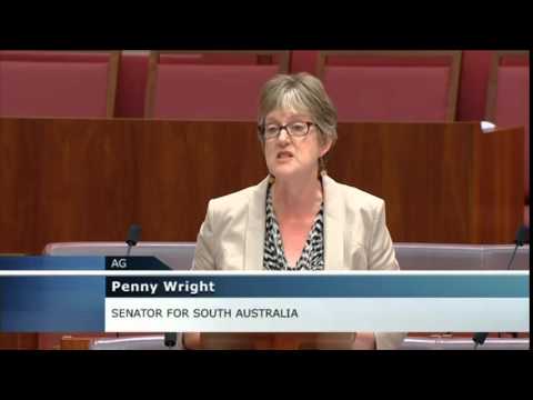 Foreign Fighters Legislation will affect every Australian