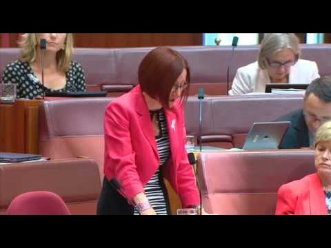 VIDEO: Australian Greens: Government fails to commit to national inquiry into abuse of people with disability