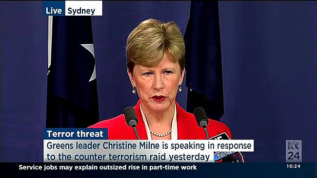 Greens Leader Christine Milne calls for unity against terror